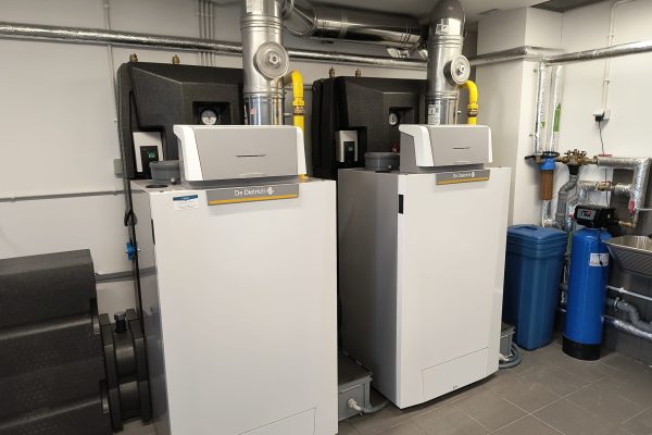 IMG_20250304_131158640