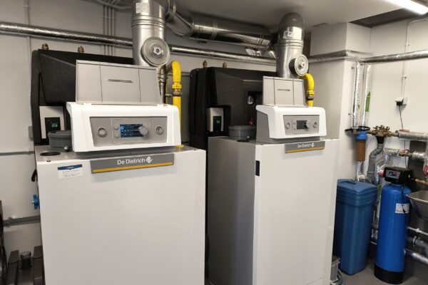 IMG_20250304_131246824