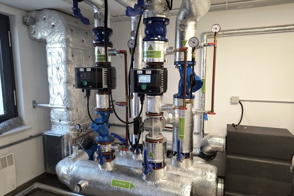 IMG_20250304_131308737