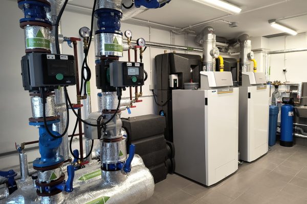 IMG_20250304_131315092