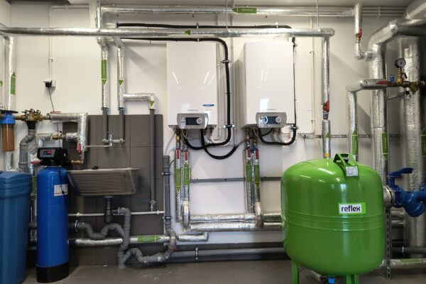 IMG_20250304_131356401