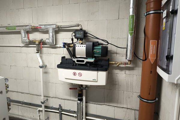 IMG_20250304_131915851