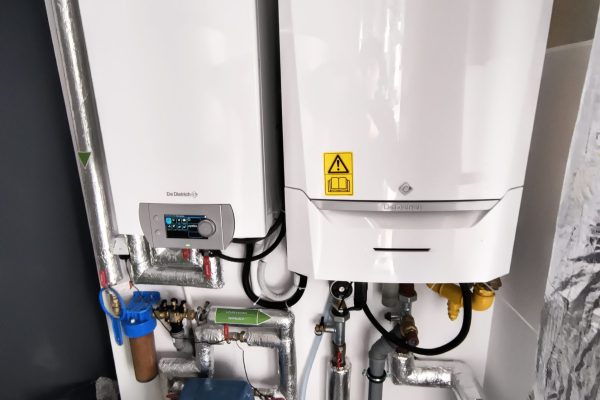 IMG_20250304_132023226