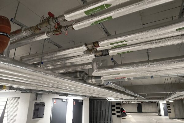 IMG_20250304_132508219