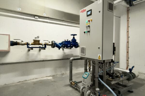 IMG_20250304_132619266