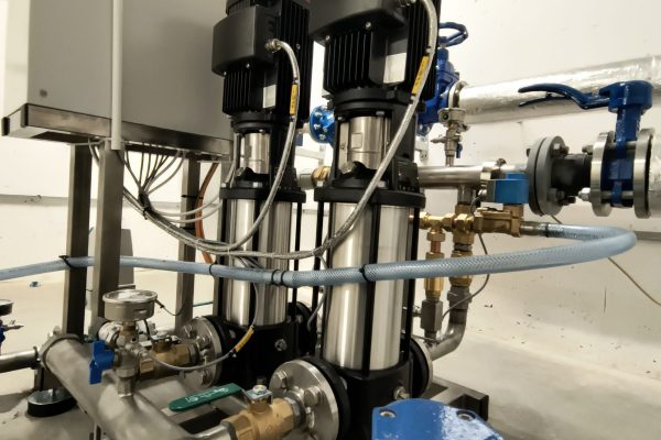 IMG_20250304_132645406